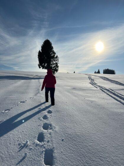Op weg naar de zon wandeling